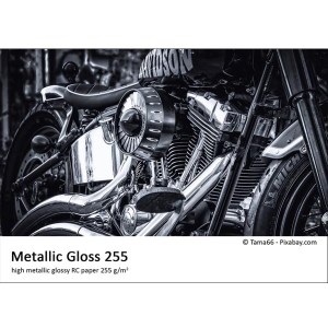 Metallic Gloss 255 02
